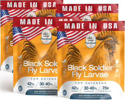 USA GROWN BLACK SOLDIER FLY LARVAE FOR CHICKENS