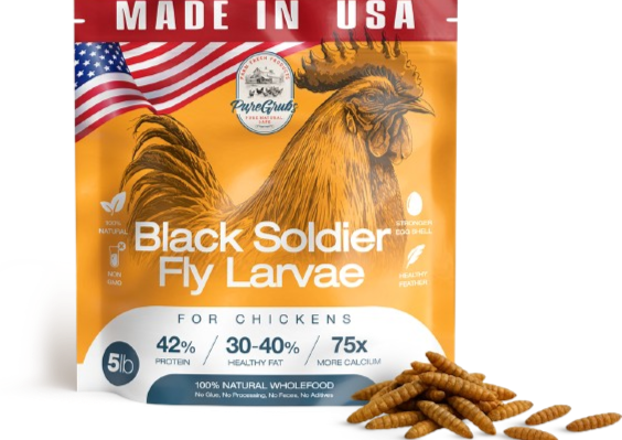Black Soldier