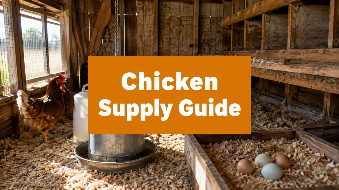 Backyard Chicken Supplies: The 2026 Checklist