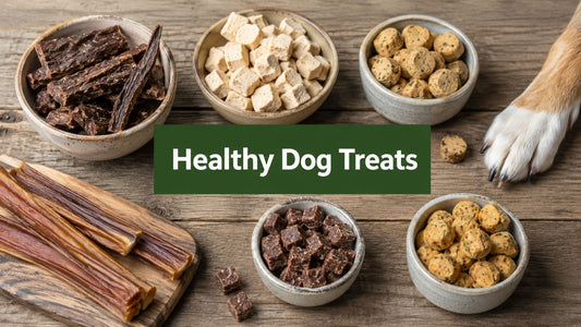 Best Healthy Dog Treats for Training: A Complete Guide
