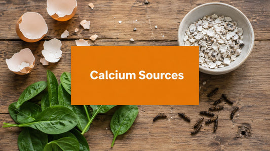 Best Natural Calcium Sources: 2026 Guide for Animals