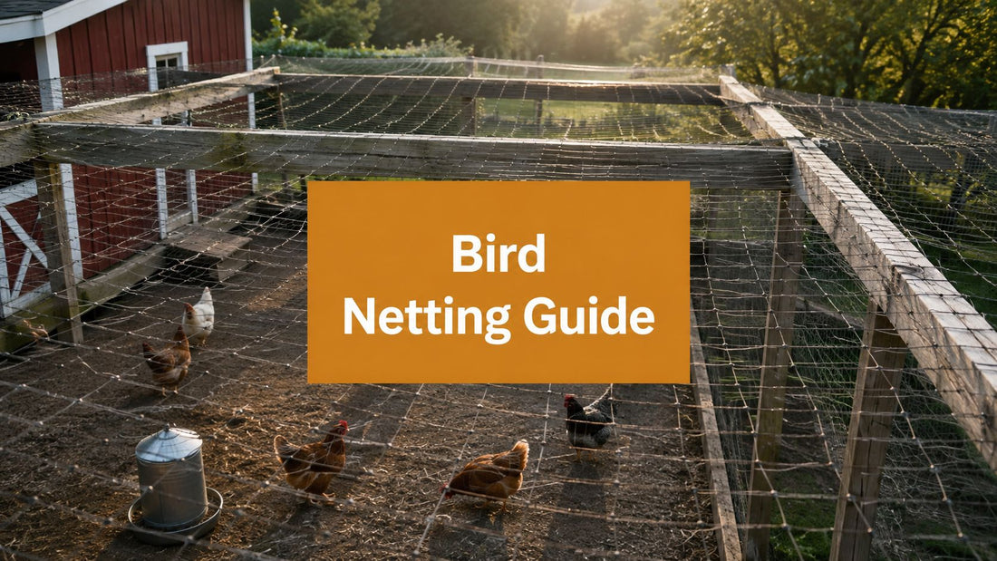 Bird Netting Over Chicken Run: Install, Tension, Anchor