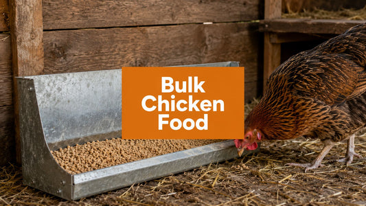 Bulk Chicken Food: A Practical Buyer's Guide for 2026