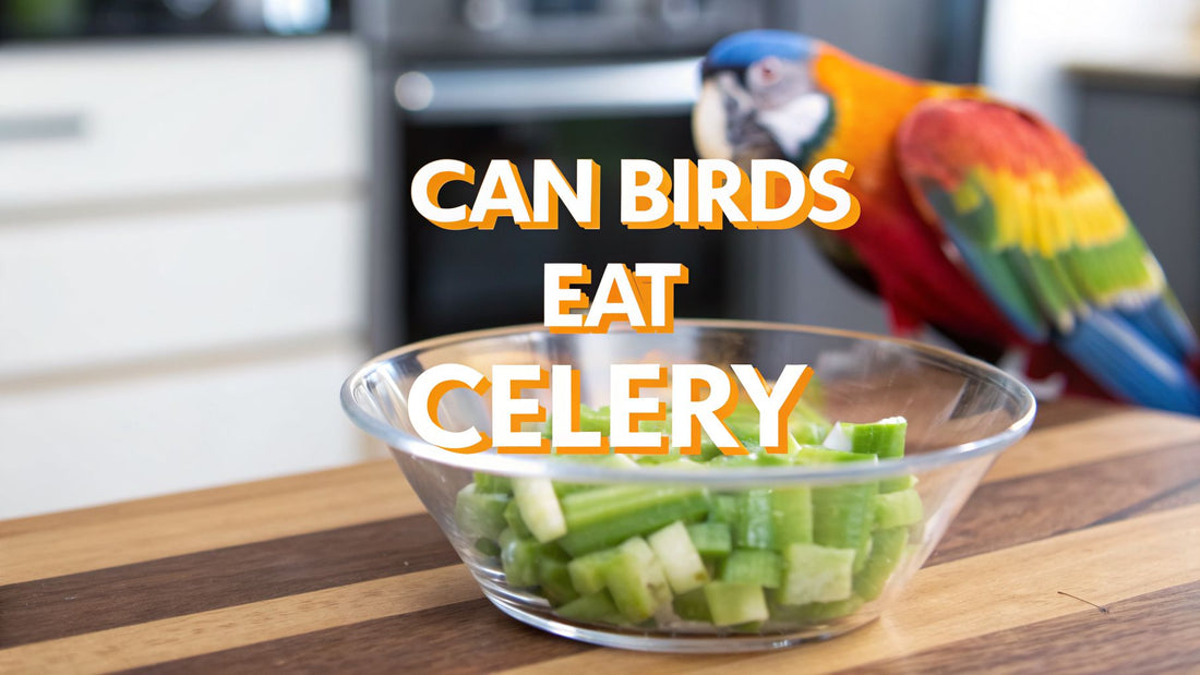 Can Birds Eat Celery: can birds eat celery safely for pets?