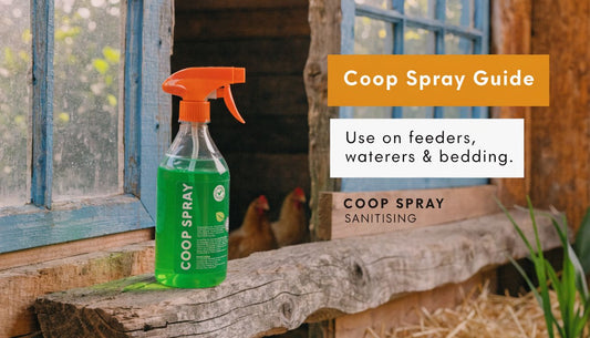 Best Chicken Coop Spray: Choose, Use & DIY