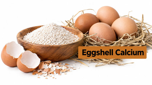 Eggshell Calcium Supplement for Hens: A Practical Guide