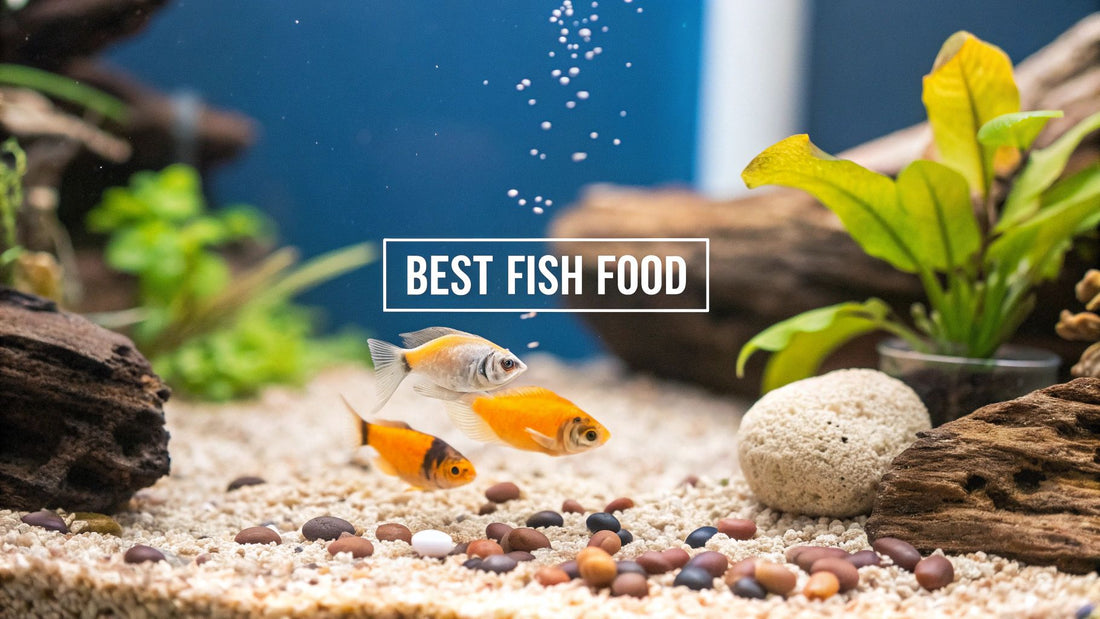 Best food for aquarium fish: Essential feeding tips