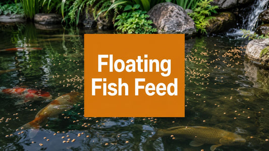 Floating Fish Feed: A Practical Guide for Pond Keepers