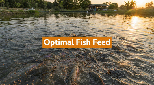 Best Food for Fish Farming: Optimize Growth & Health