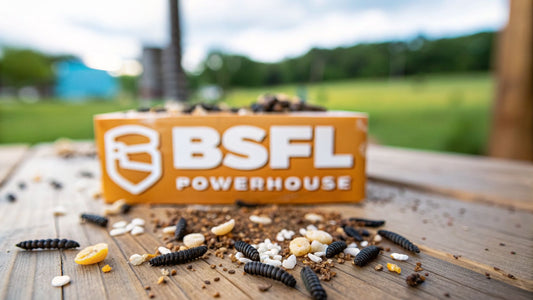 Grubterra black soldier fly larvae: Grubterra Black Soldier