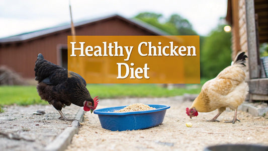 The Ultimate Guide to a Healthy Diet for Chickens