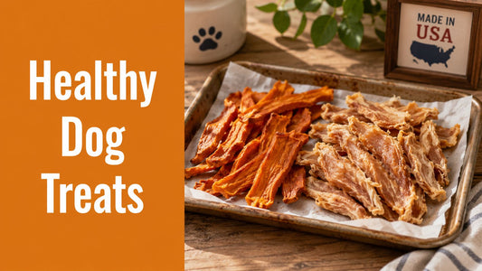 Healthy Dog Treats Made in USA: Your 2026 Buyer's Guide