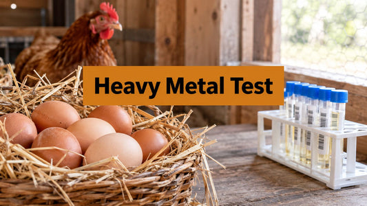 Heavy Metal Toxicity Testing for Flocks