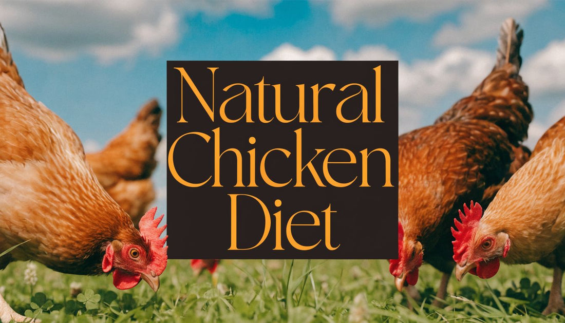 The Natural Diet of Chickens A Comprehensive Guide
