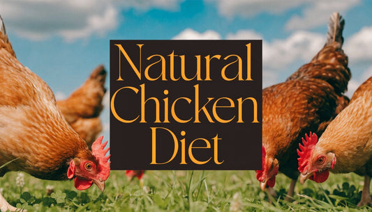The Natural Diet of Chickens A Comprehensive Guide