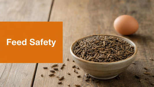 Product Standardization for Feed: A Safety Guide