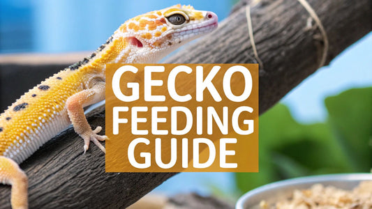 what do leopard geckos eat: A Complete Feeding Guide