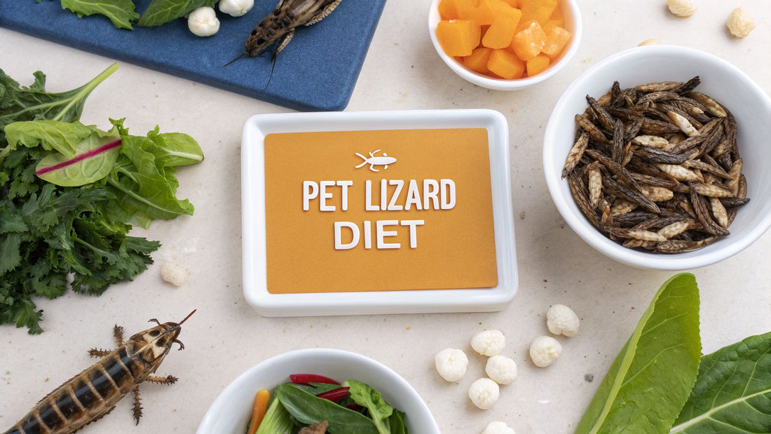 What Do Pet Lizards Eat? Your Complete Reptile Diet Guide