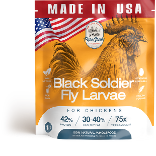 USA GROWN BLACK SOLDIER FLY LARVAE FOR CHICKENS