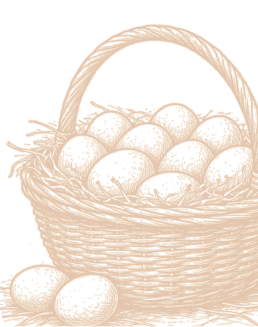 A chicken hen.