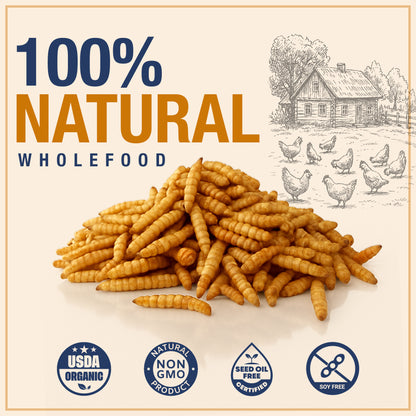 USA Grown Black Soldier Fly Larvae for Chickens - 100% Natural Dried Worms