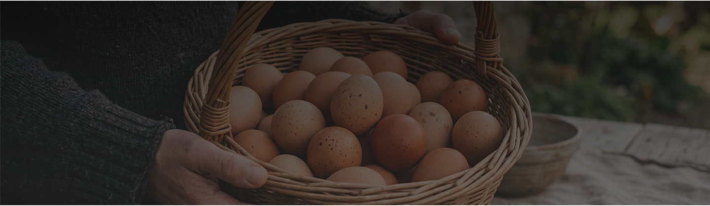 fresh chicken eggs gathered in a woven wicker basket