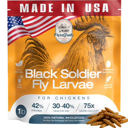 USA Grown Black Soldier Fly Larvae for Chickens - 100% Natural Dried Worms