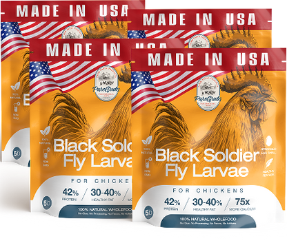 USA GROWN BLACK SOLDIER FLY LARVAE FOR CHICKENS