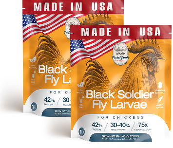 USA GROWN BLACK SOLDIER FLY LARVAE FOR CHICKENS