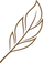 Hen Feather icon, Representing hen has healthy feaher.