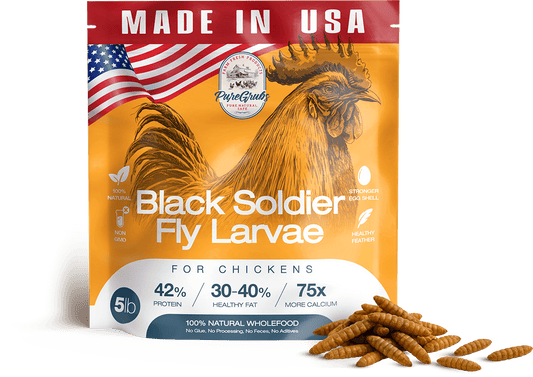 USA Grown Black Soldier Fly Larvae for Chickens - 100% Natural Dried Worms