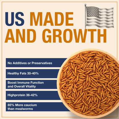USA Grown Black Soldier Fly Larvae for Chickens - 100% Natural Dried Worms