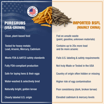 USA Grown Black Soldier Fly Larvae for Chickens - 100% Natural Dried Worms