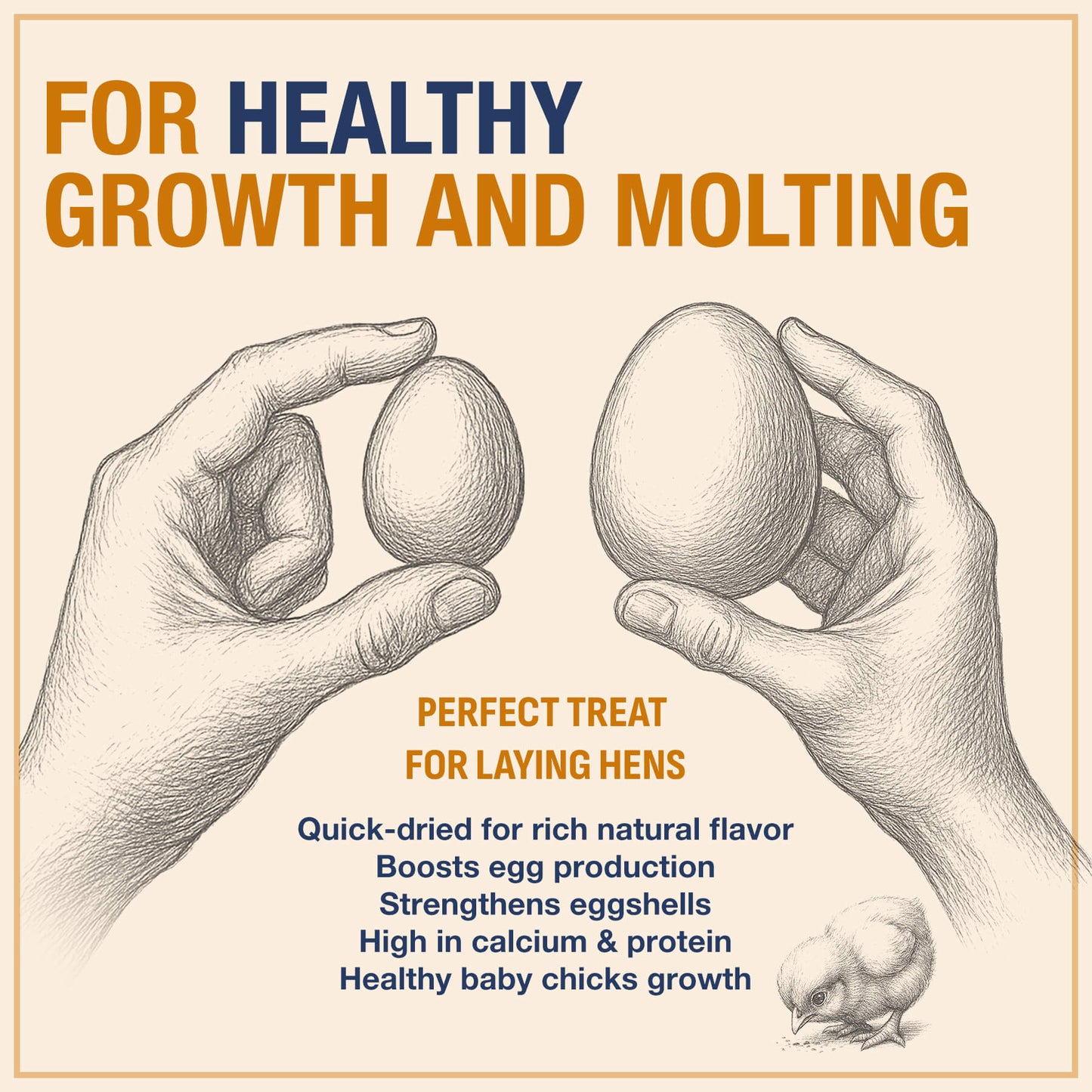 USA Grown Black Soldier Fly Larvae for Chickens - 100% Natural Dried Worms