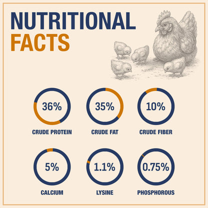 USA Grown Black Soldier Fly Larvae for Chickens - 100% Natural Dried Worms