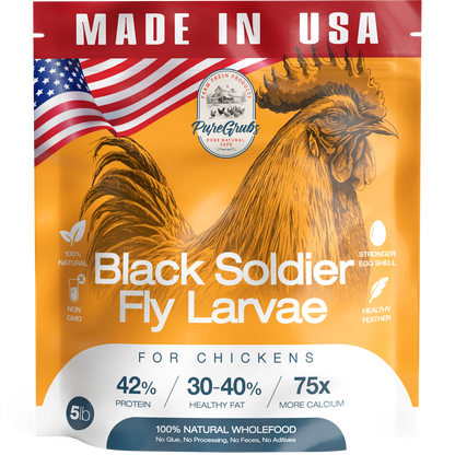 Digital illustration on PureGrubs product packaging showing a 5lb bag of Black Soldier Fly Larvae chicken feed with a vibrant orange background, a large golden rooster, an American flag, and a red MADE IN USA banner highlighting 42% Protein and 100% Natural Wholefood