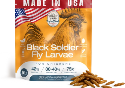 Black Soldier