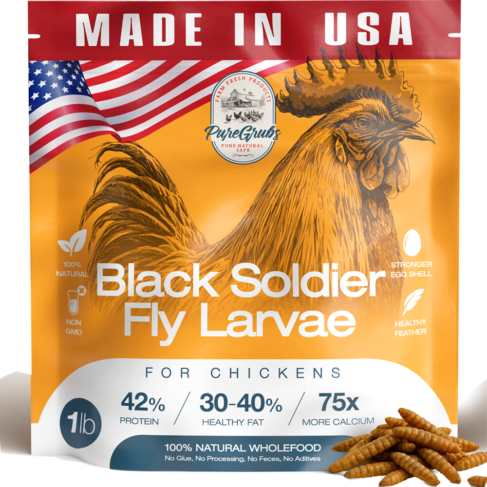 Black Soldier