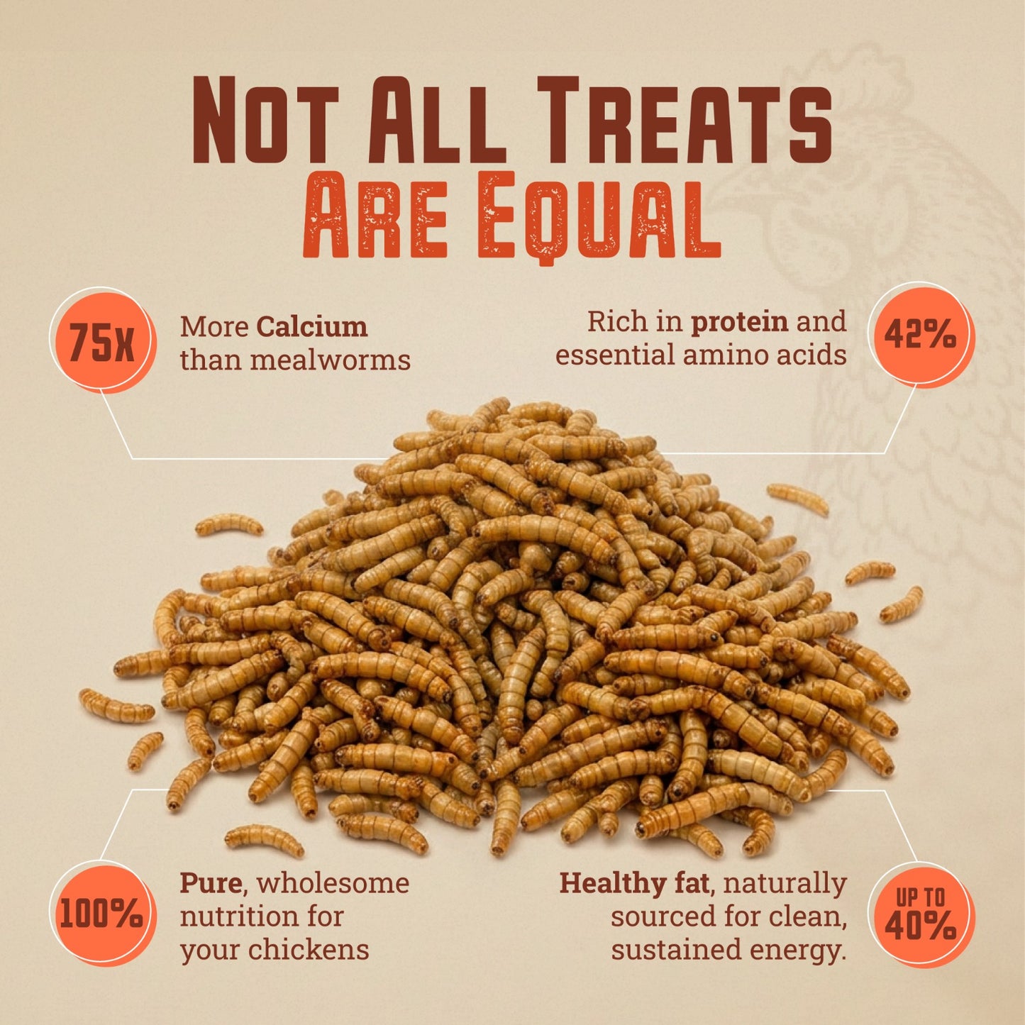 USA GROWN BLACK SOLDIER FLY LARVAE FOR CHICKENS