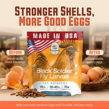 USA GROWN BLACK SOLDIER FLY LARVAE FOR CHICKENS