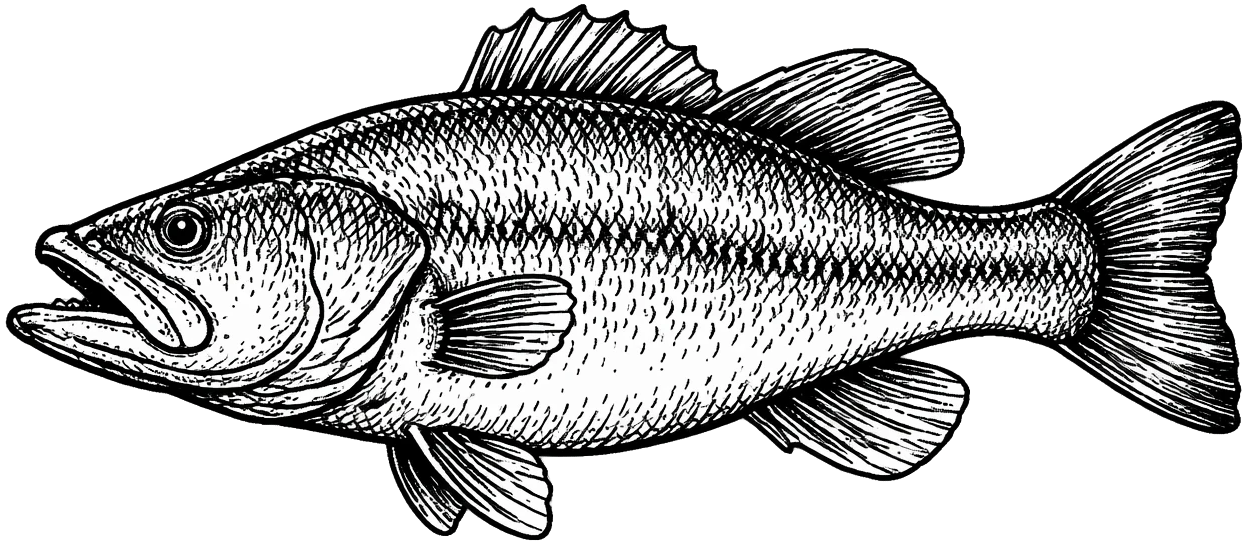 <p><strong>FISH<br/></strong>NATURAL FLOATING SNACK</p>