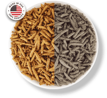 A bowl full of meal worms, a comparison image between two brands.